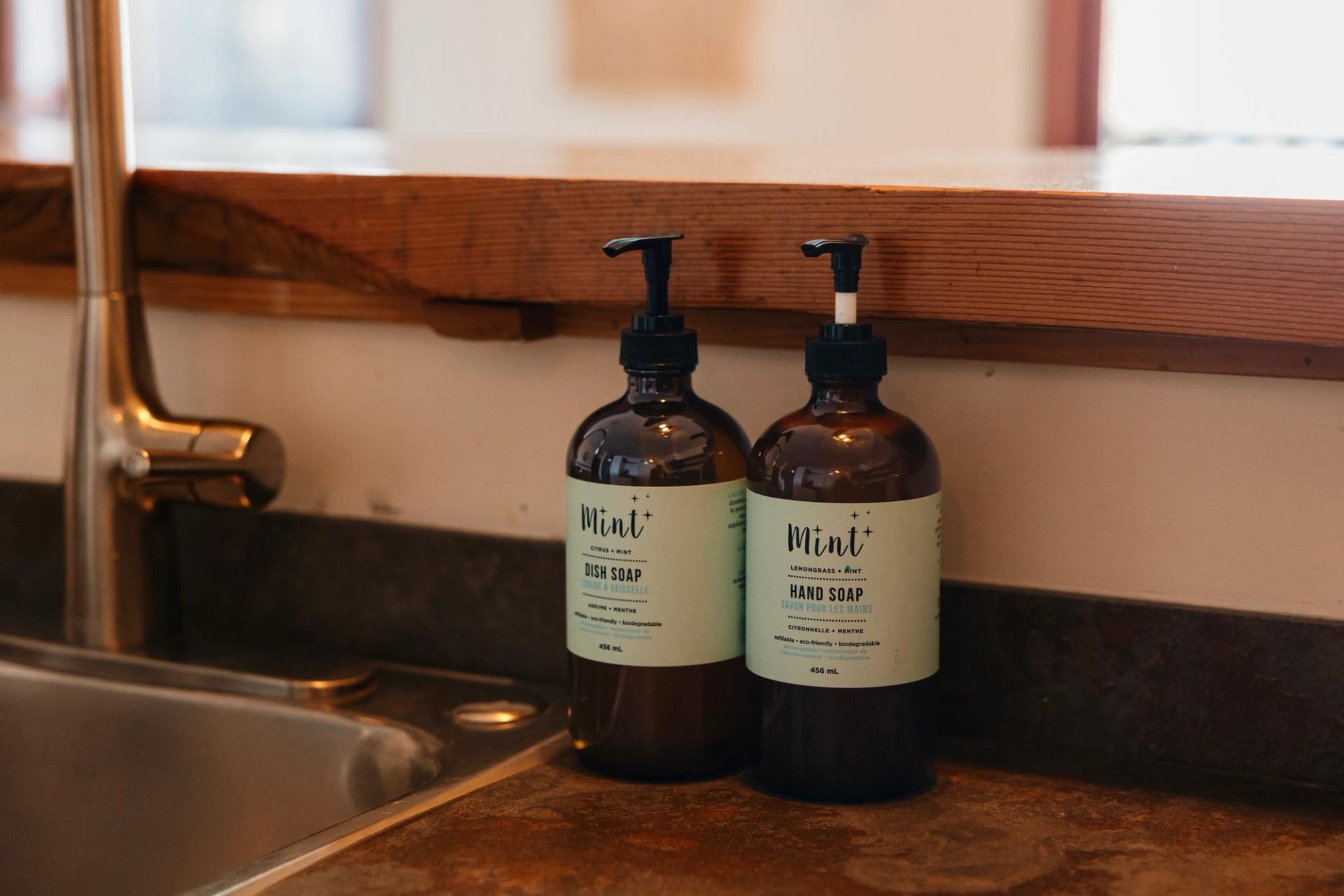 secluded oceanfront apartment