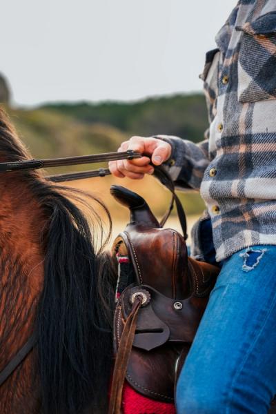Rider holding reins on a horse