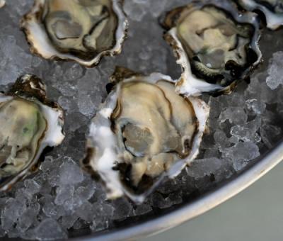 Oysters on a half-shell on ice