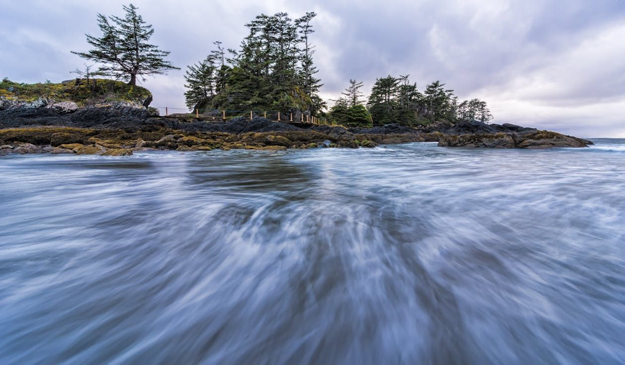 tofino