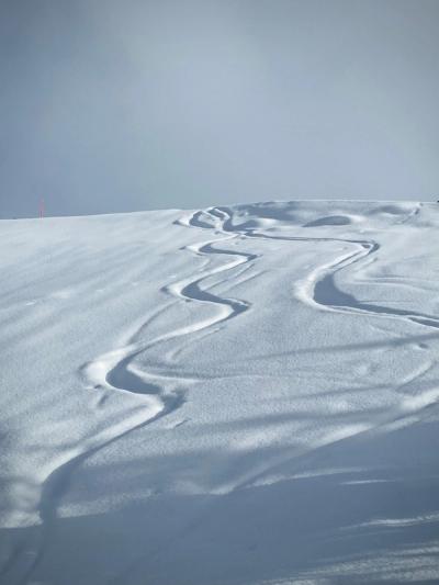 Ski tracks in snow