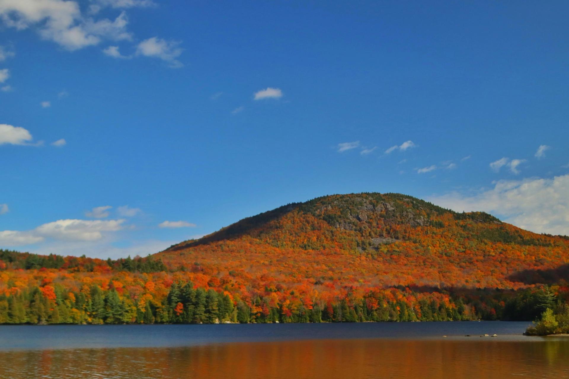 View of a lake with fall colours in Quebec
