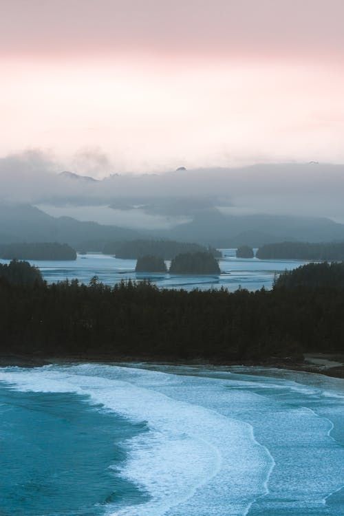 tofino