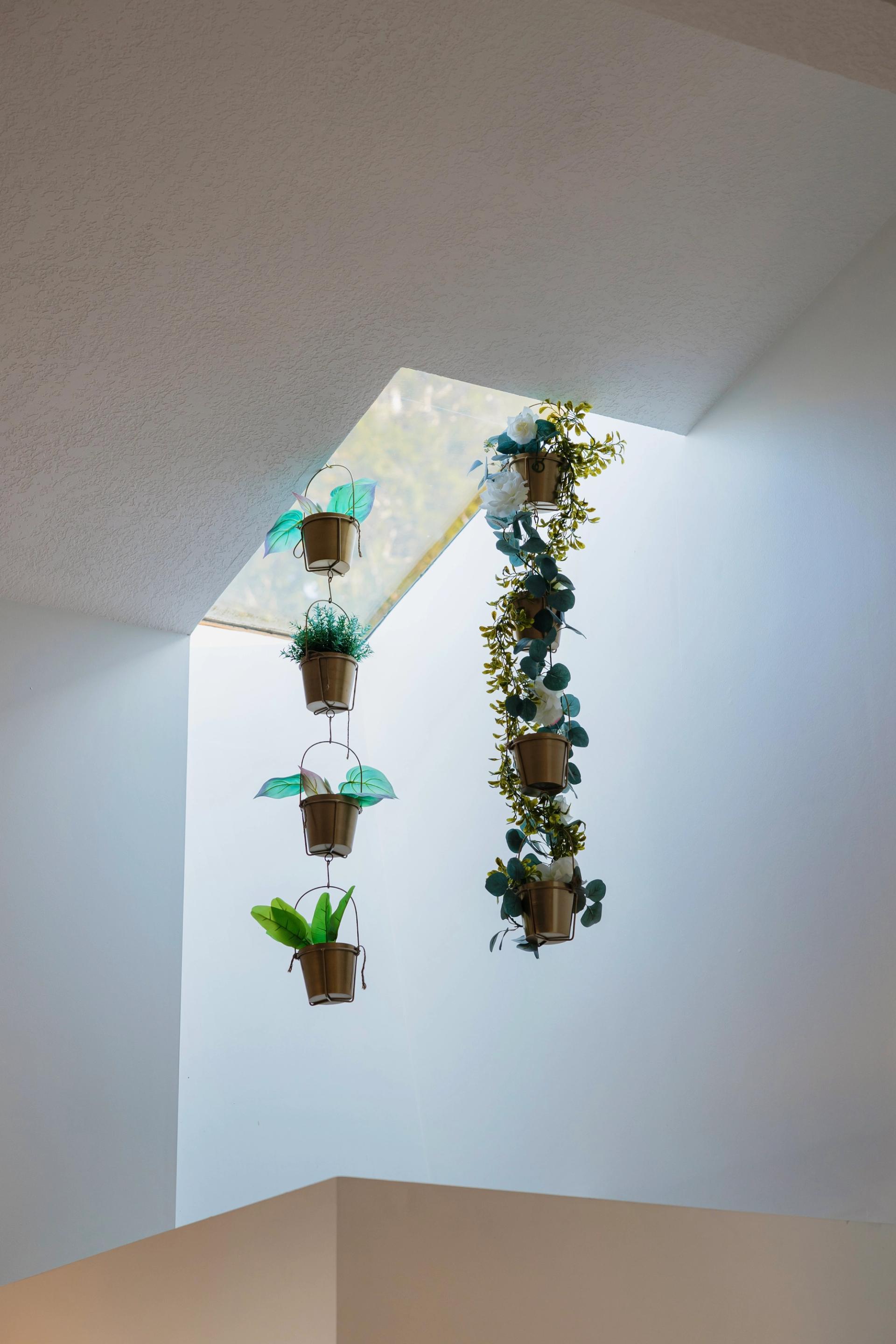 Maison spacieuse de 6 chambres avec vue sur l'océan à Tofino