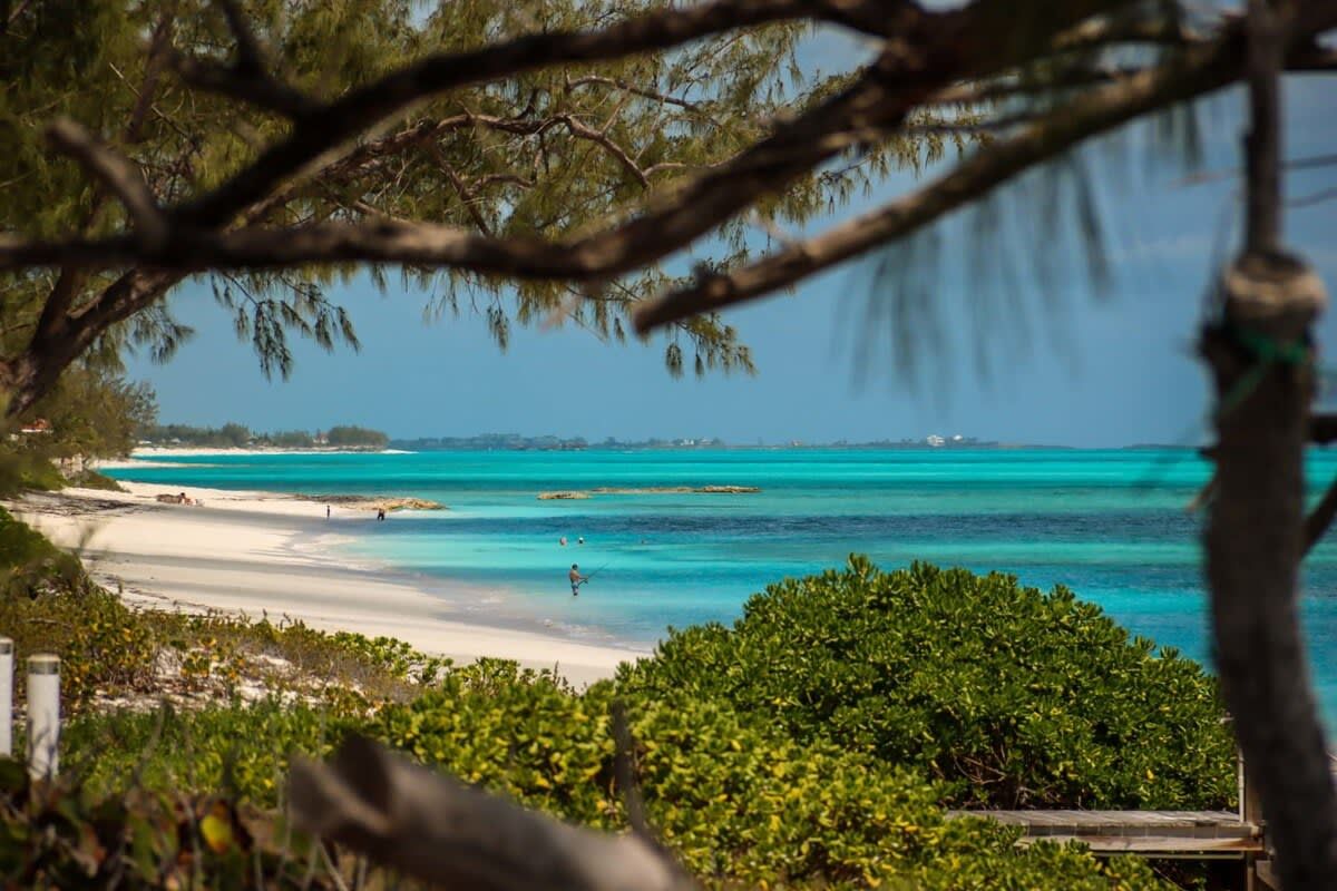 Beachfront white palm villa
