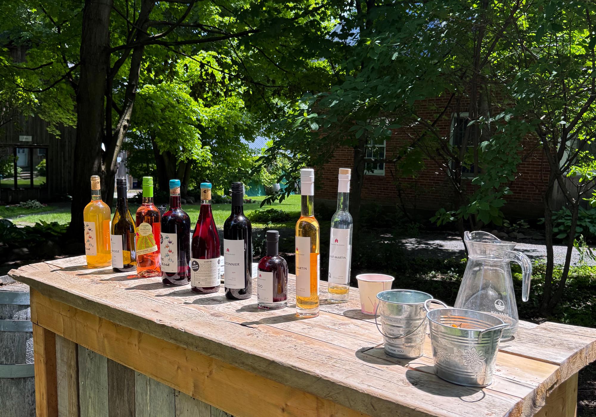 20 vins à connaître pour commencer
