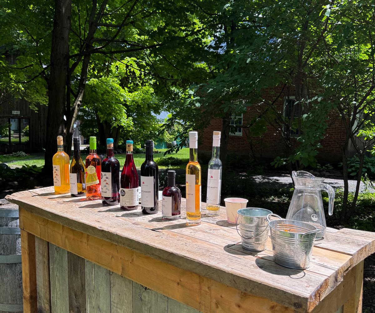 20 vins à connaître pour commencer