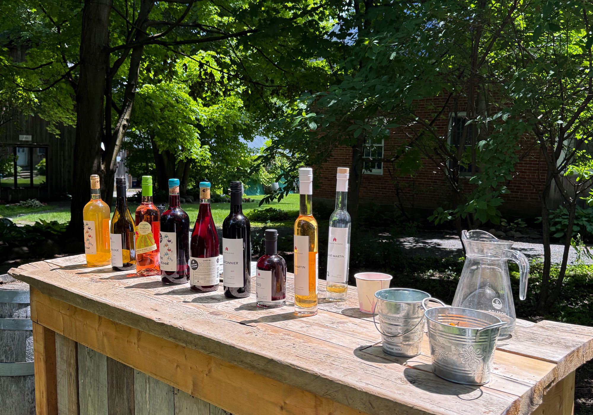 20 vins à connaître pour commencer