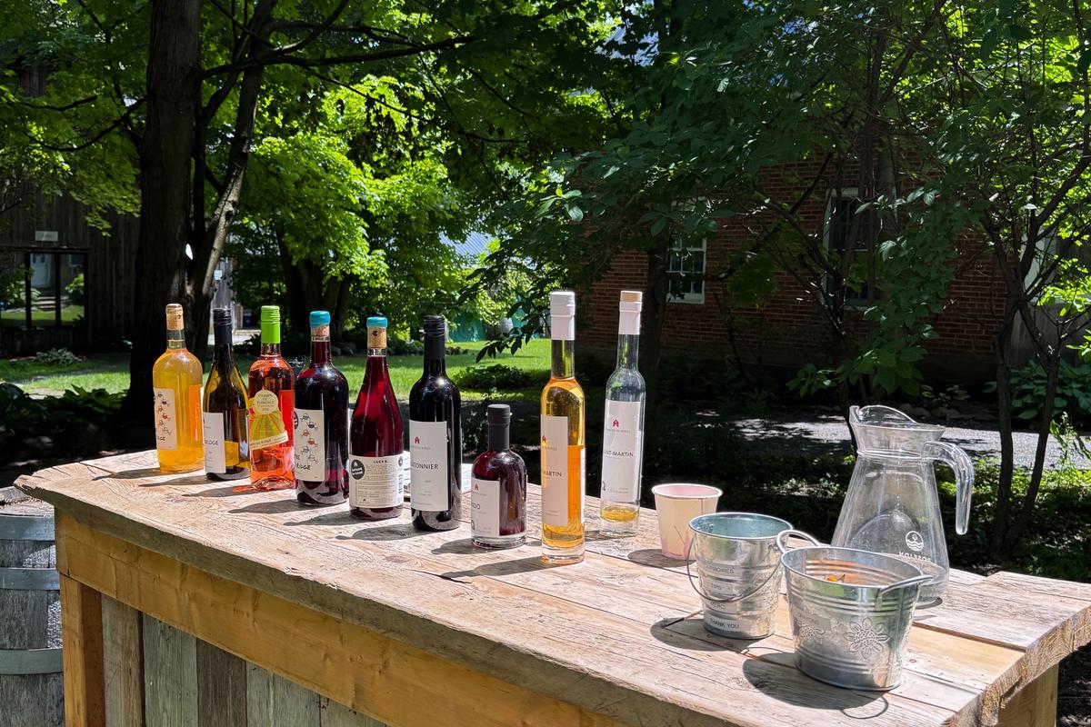 20 vins à connaître pour commencer