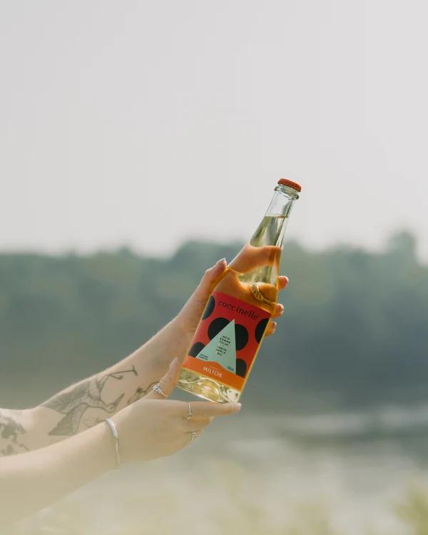 Coccinelle Pomme sans alcool — Cidrerie Milton