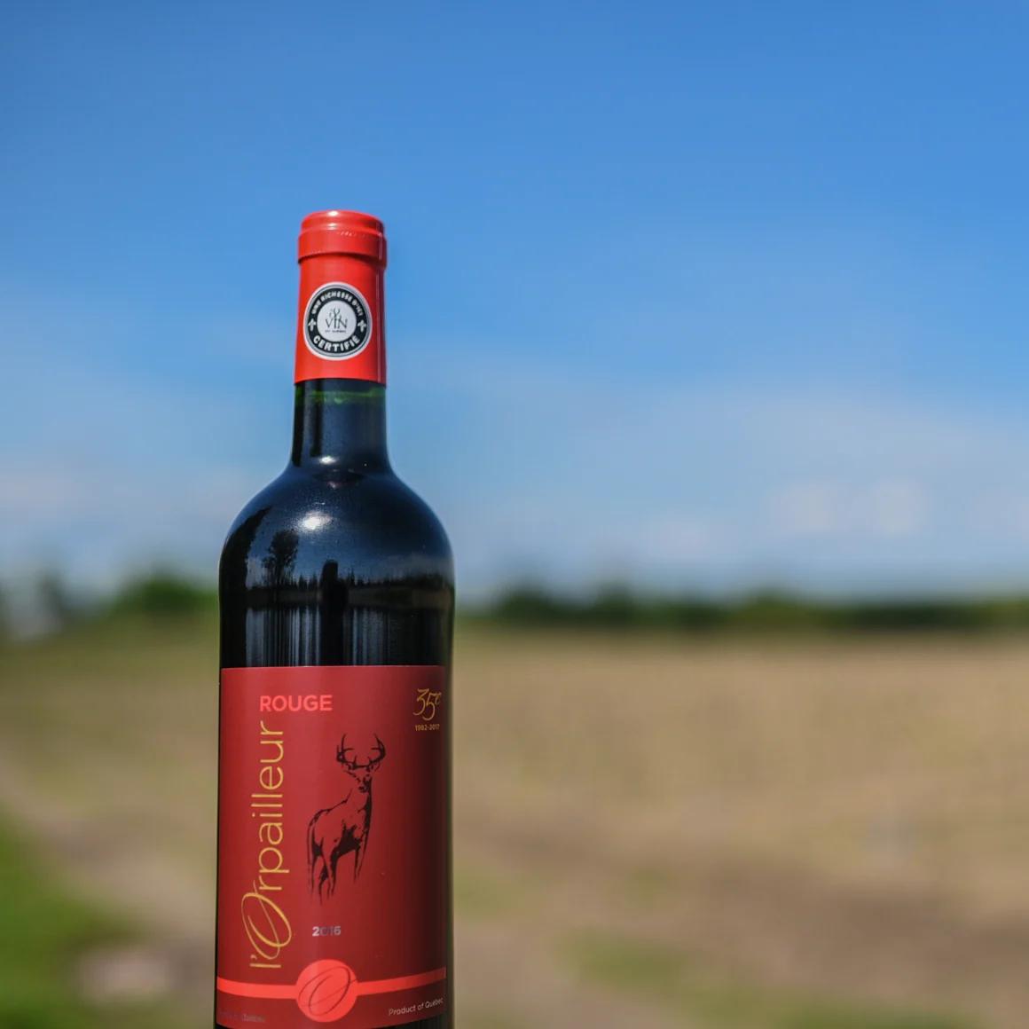 L'Orpailleur Rouge — Vignoble de l'Orpailleur