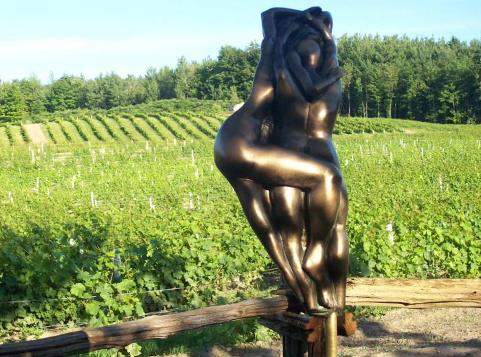 Domaine des Côtes d’Ardoise