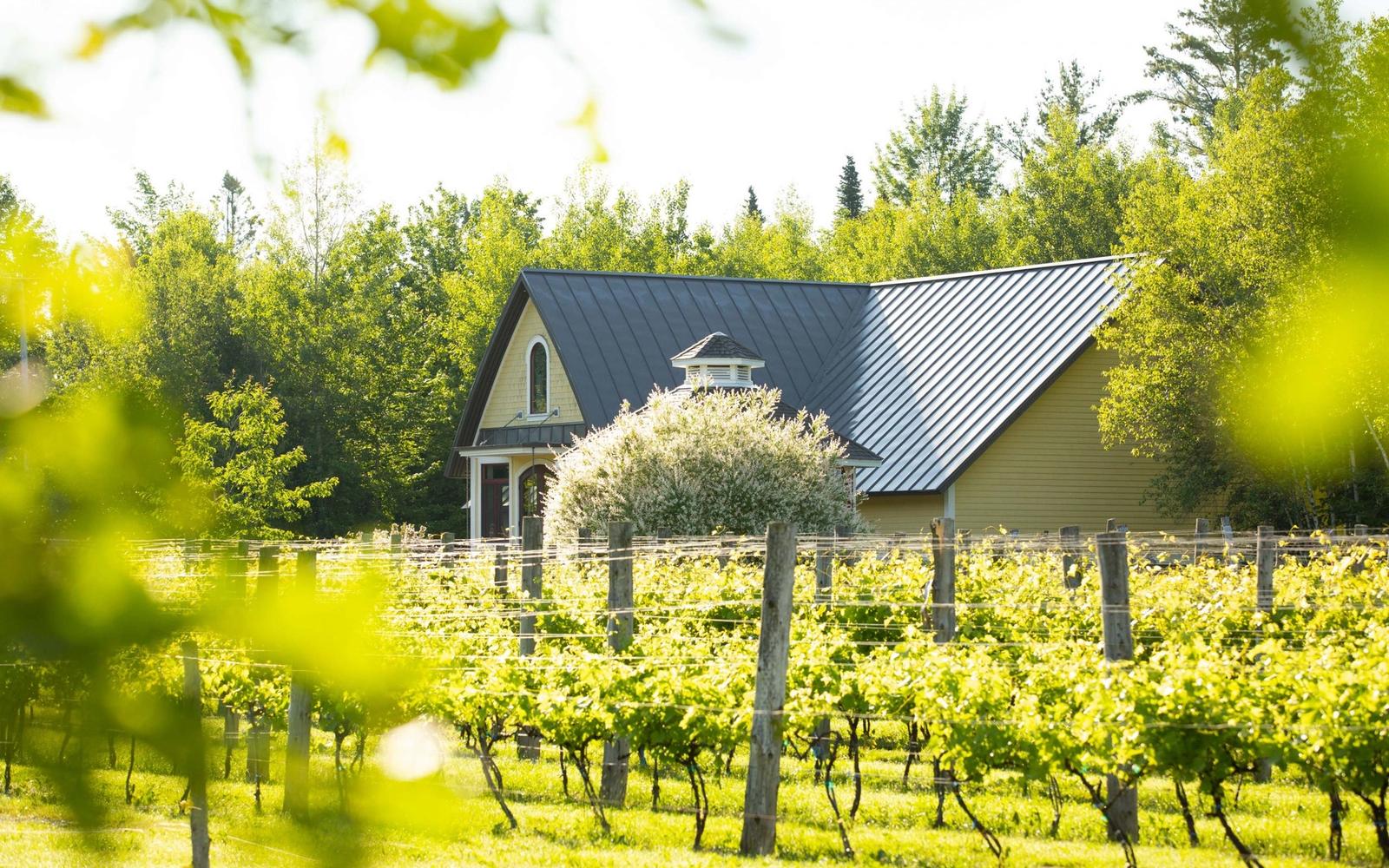Domaine Bergeville