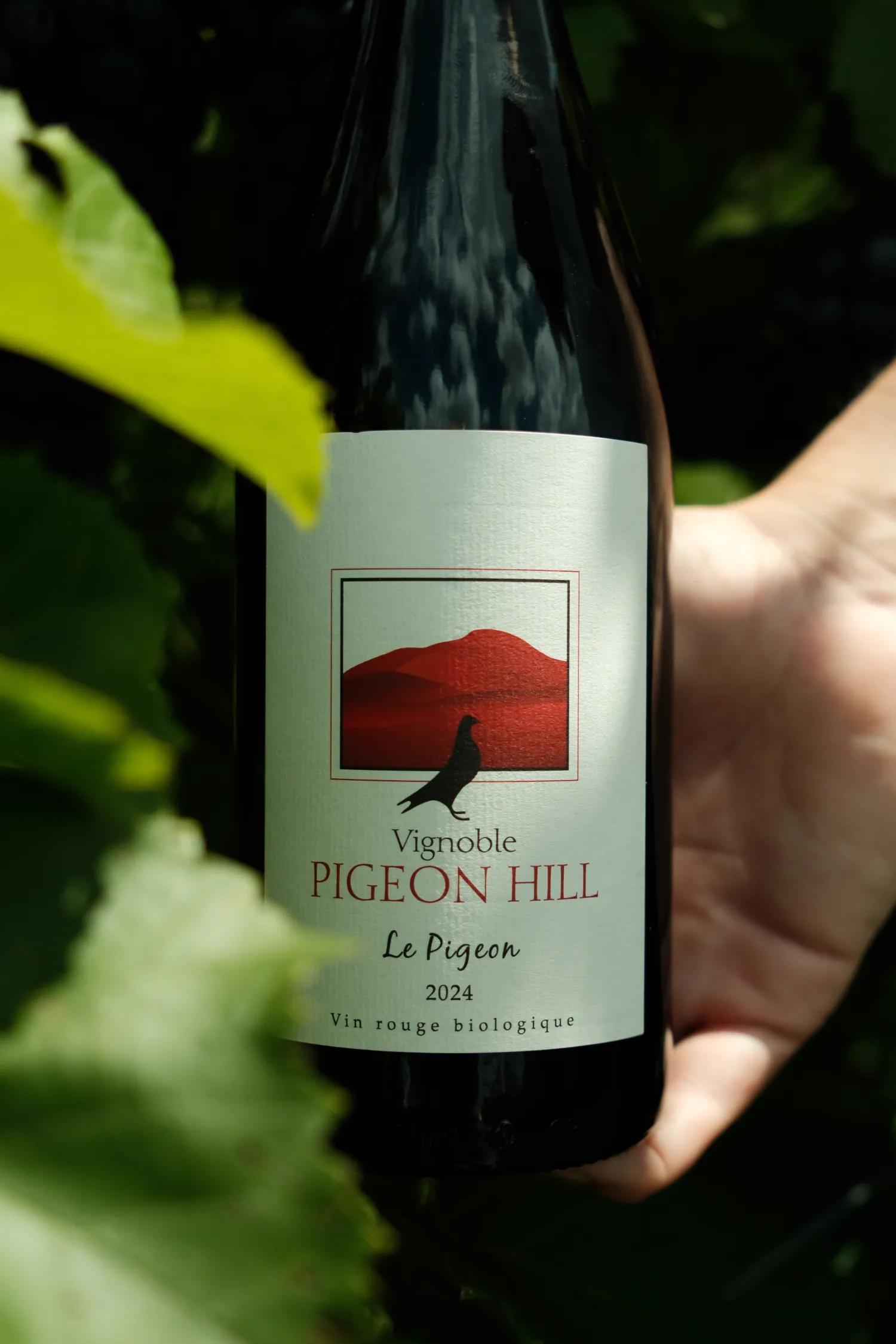 Le Pigeon · Vignoble Pigeon Hill
