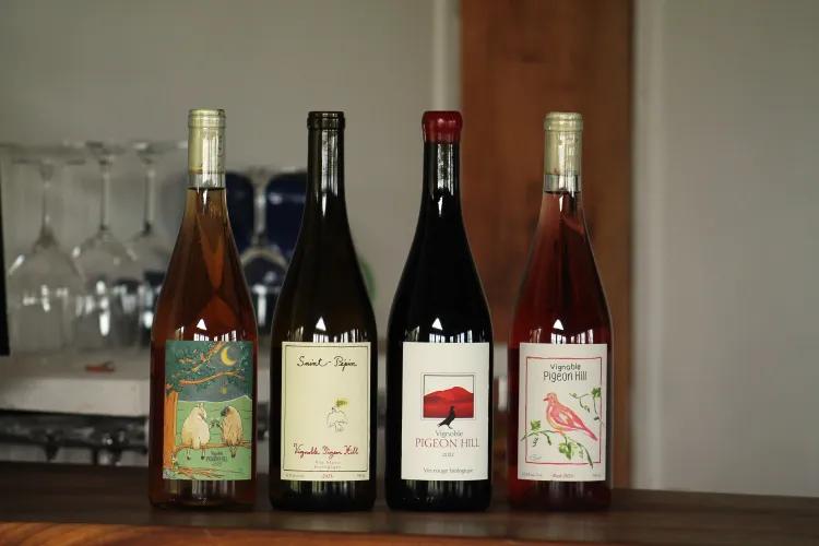 Vignoble Pigeon Hill