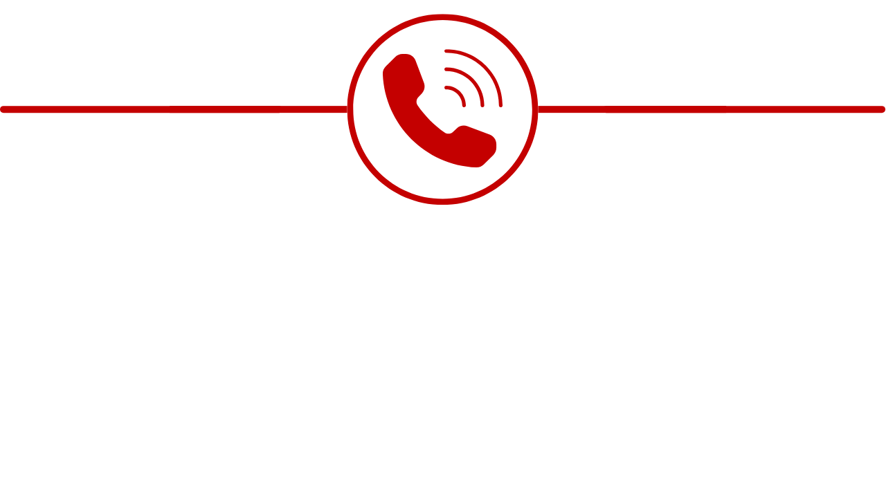 Red icon of a telephone handset, symbolizing a call with the Business Development team.