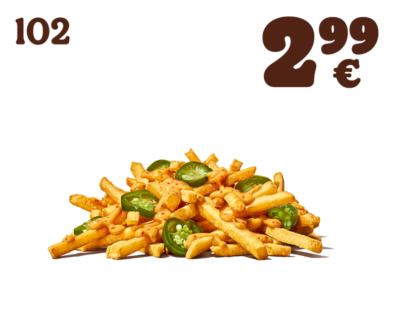 Fries Chili Cheese Style