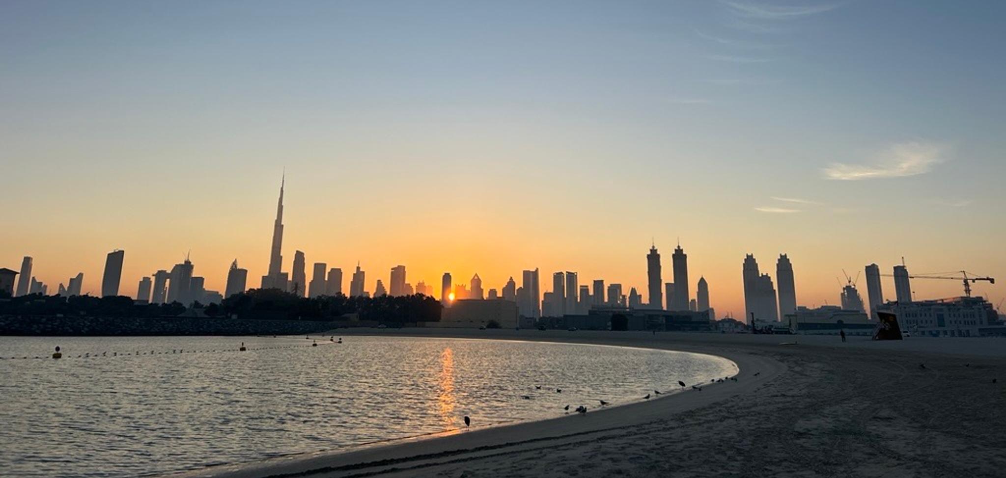 a beach with a city skyline in the background at sunset .