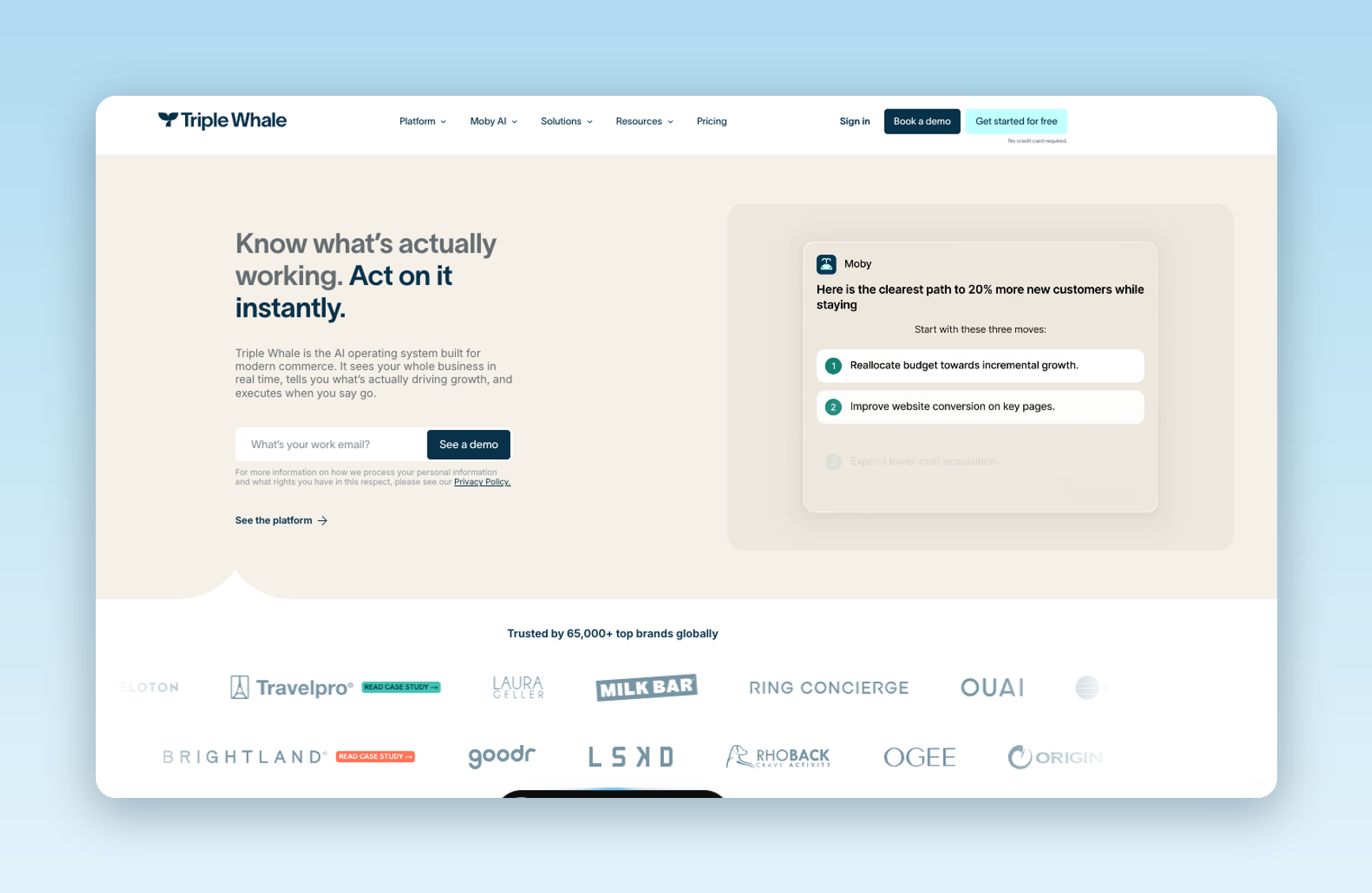 Image showing Triple Whale's home page