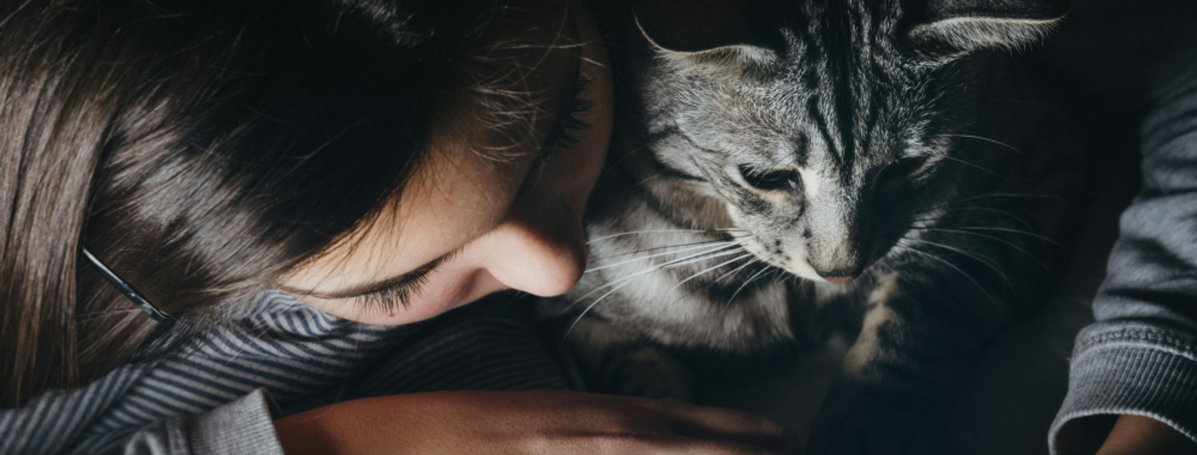 woman cuddling a tabby cat