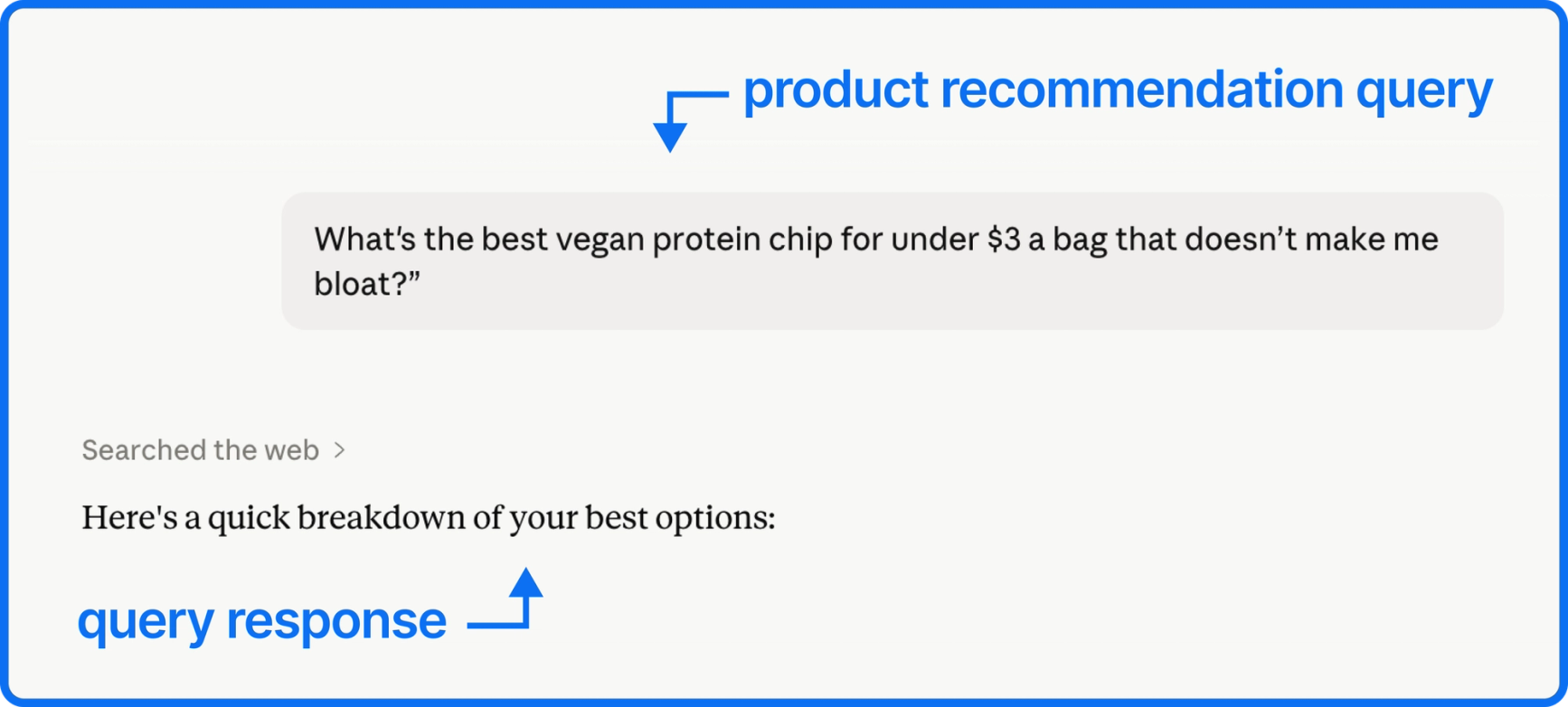 screenshot of a query inside an AI chatbot, example