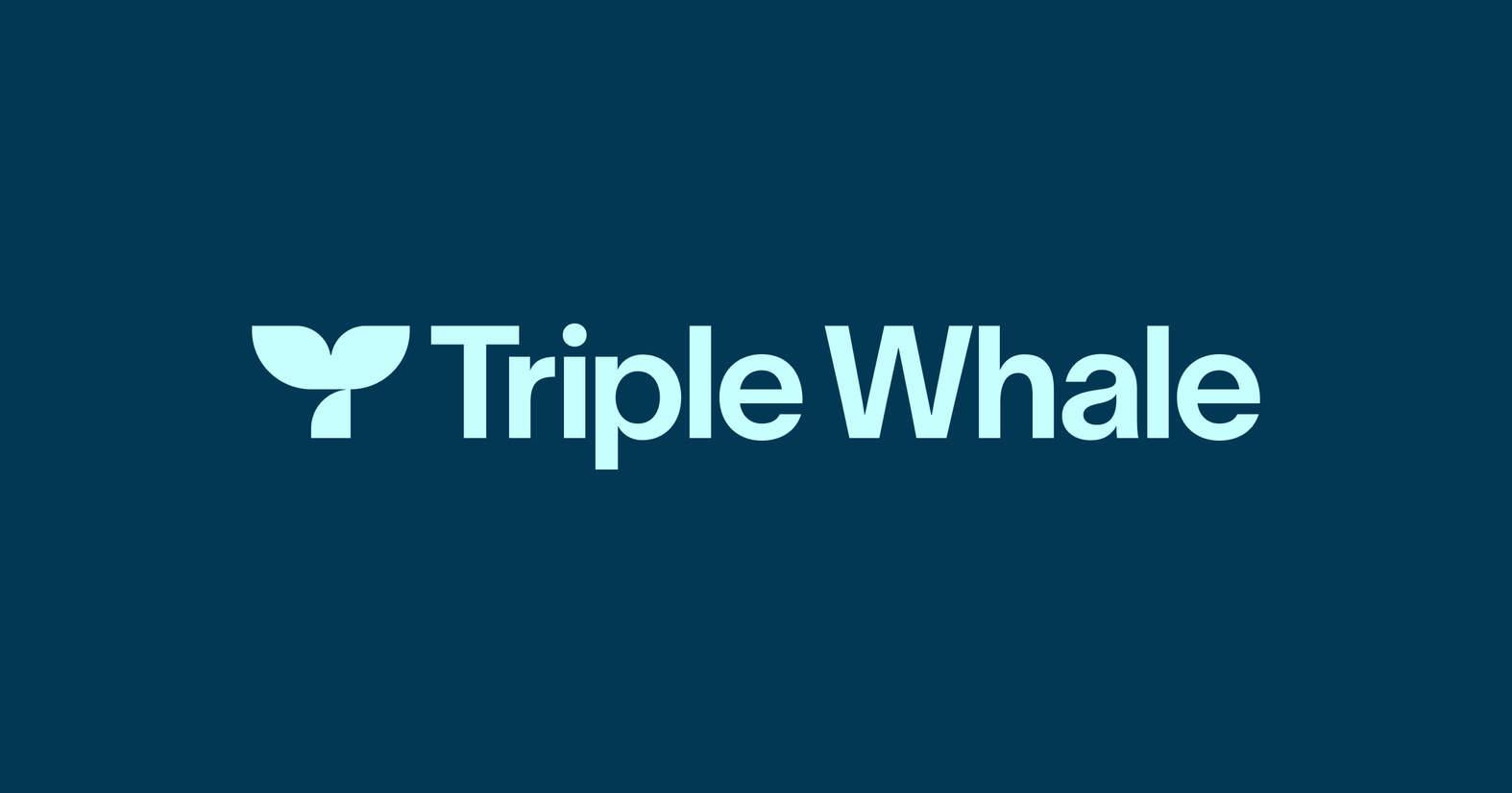 Triple Whale webinar