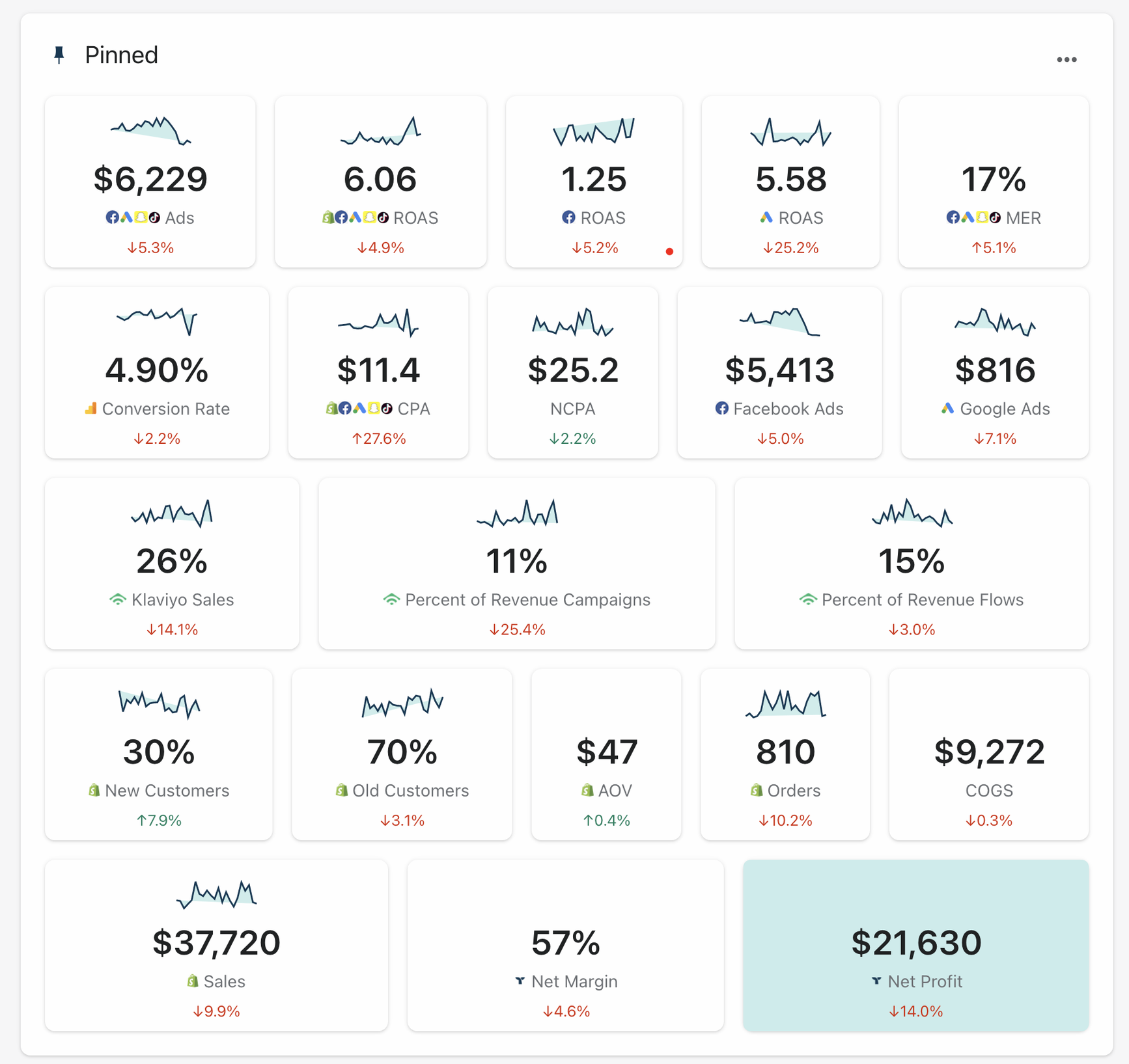  Client's Triple Whale Dashboard