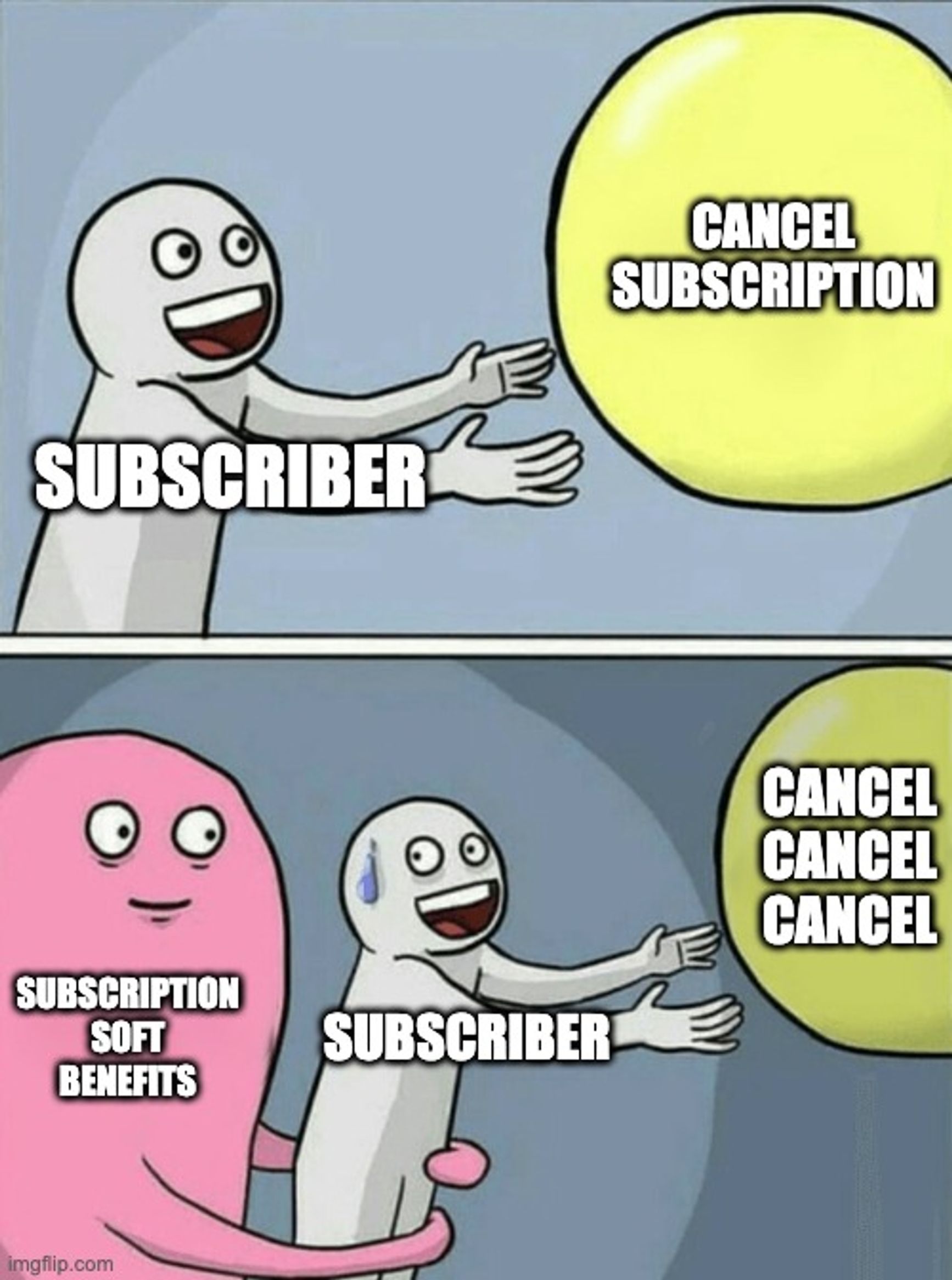 Subscription Churn Content
