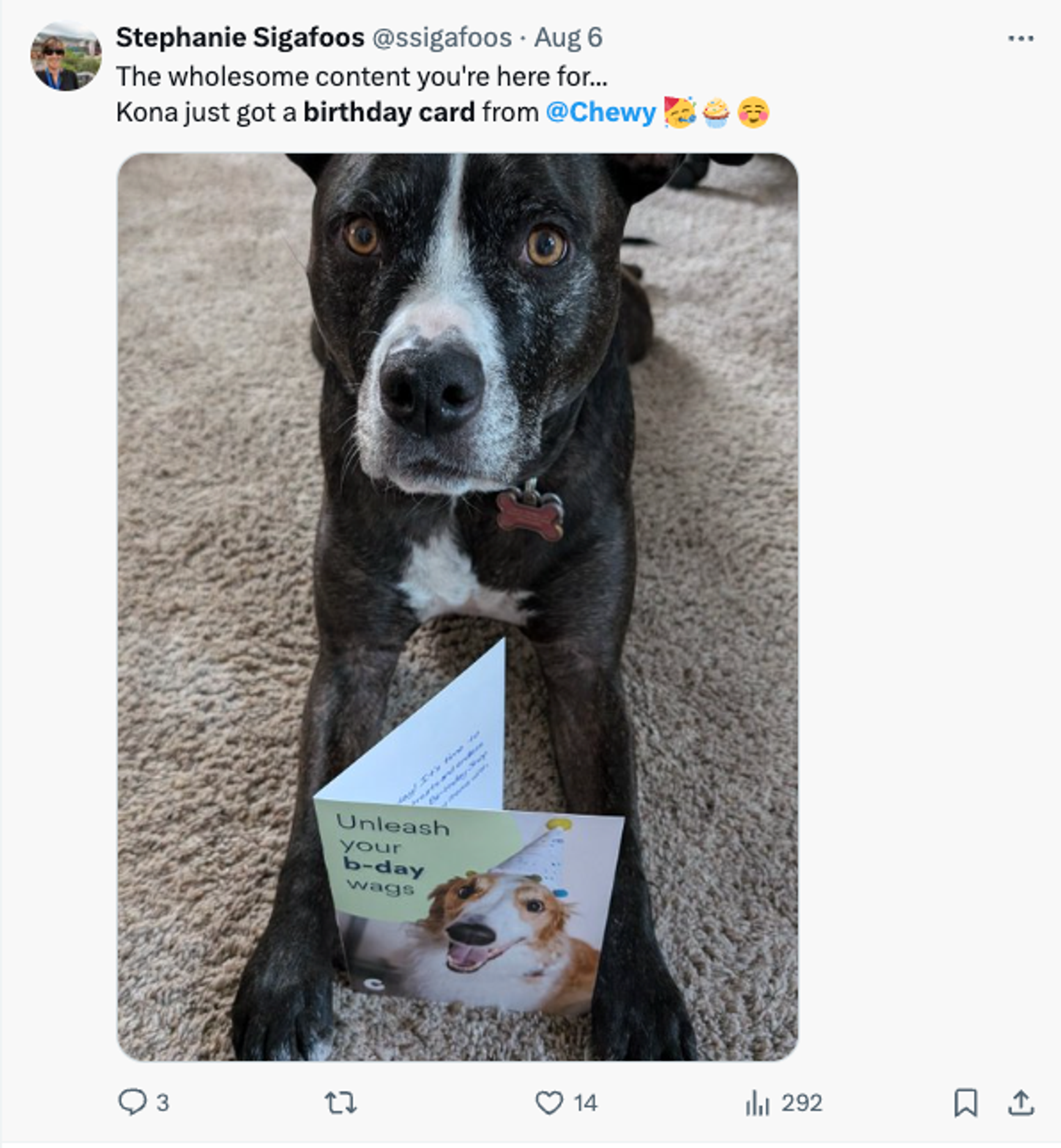 screenshot of twitter post featuring a dog with birthday card from Chewy