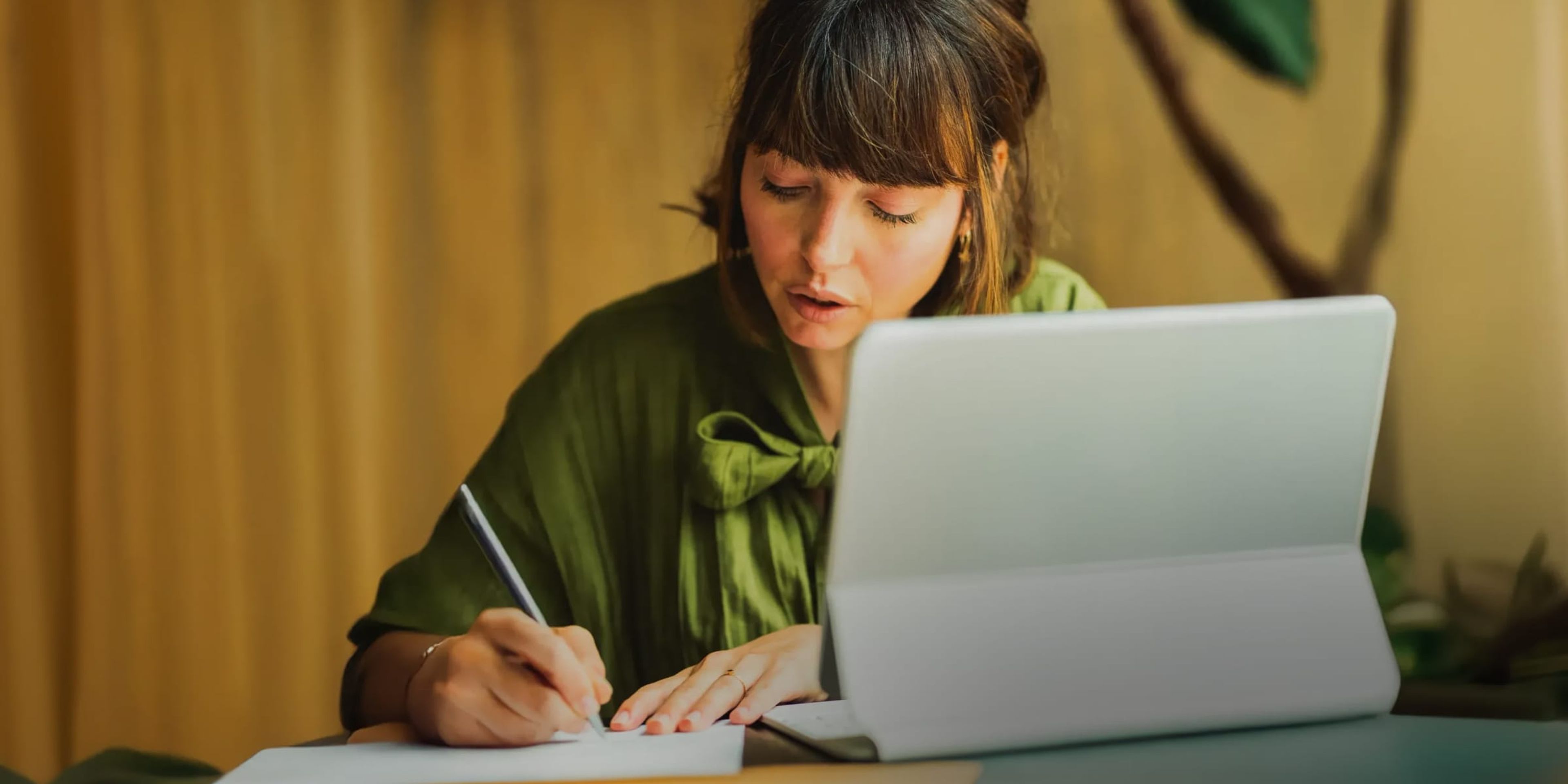 Platform Masthead (Background)