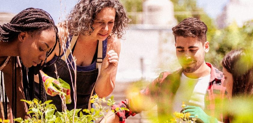 Group of people gardening on a sunny day/