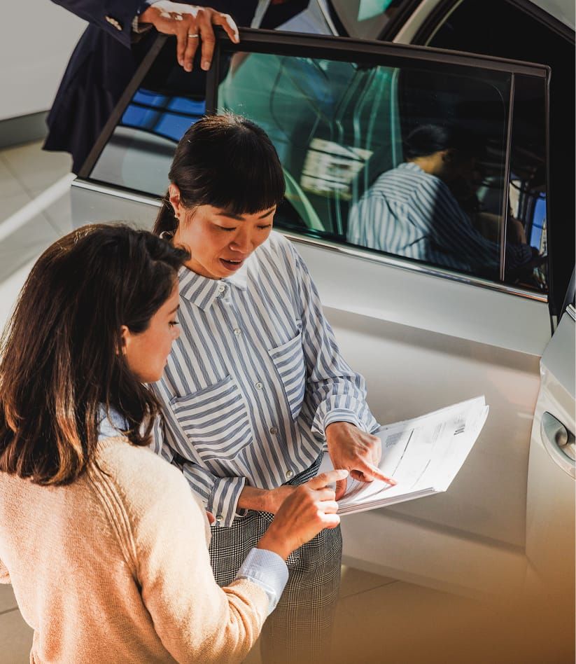 Vehicle registration (Background)