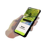 Phone In Hand Illustration