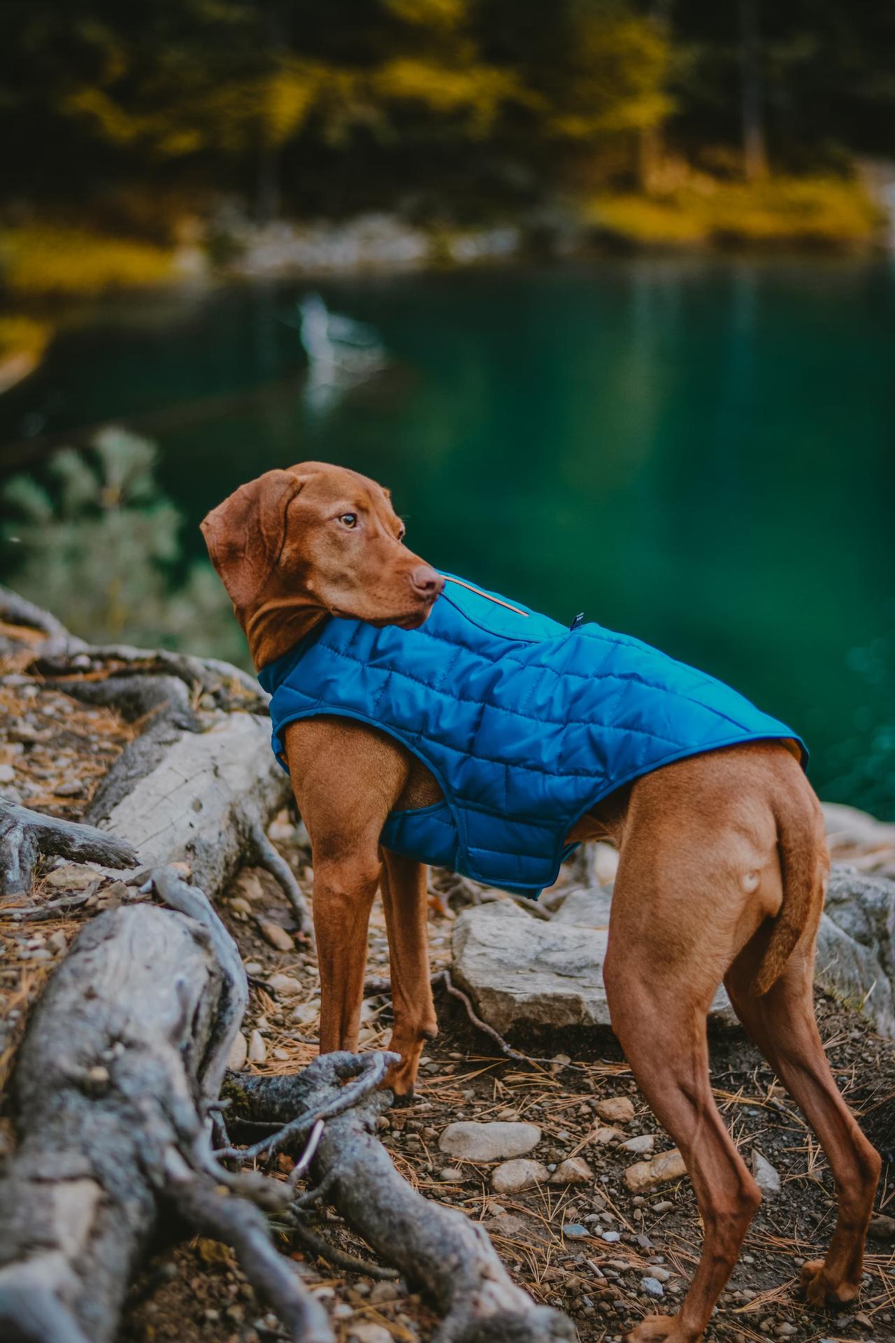 loft jacket
