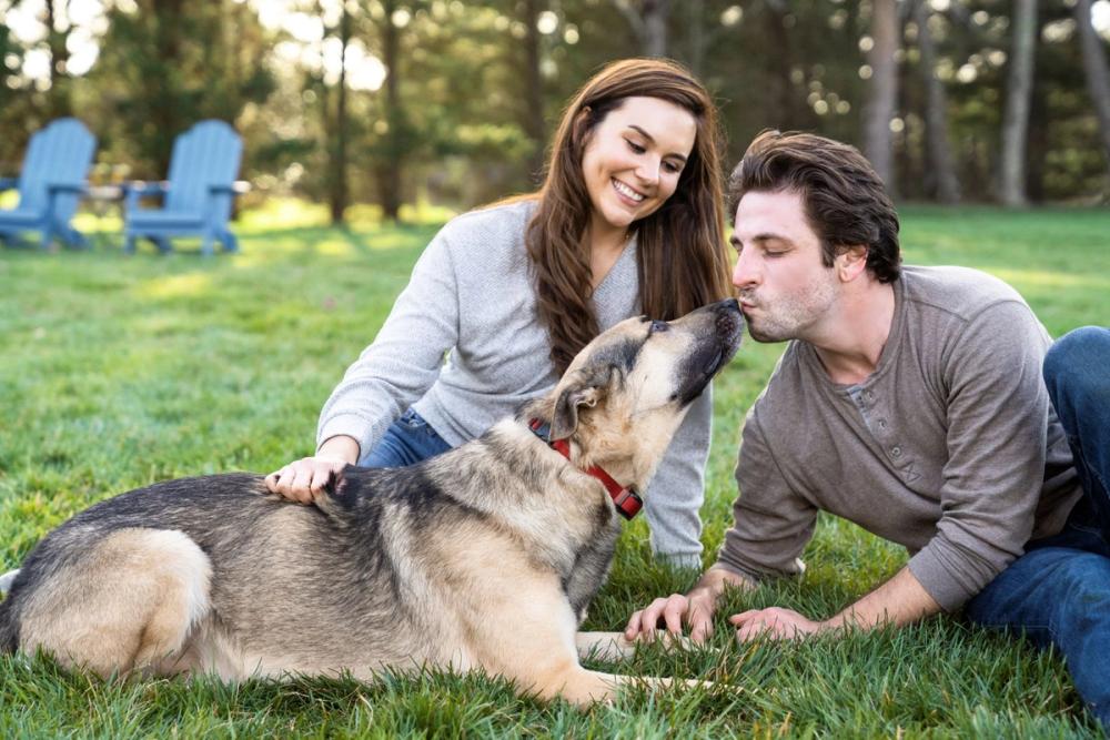Dog with couple