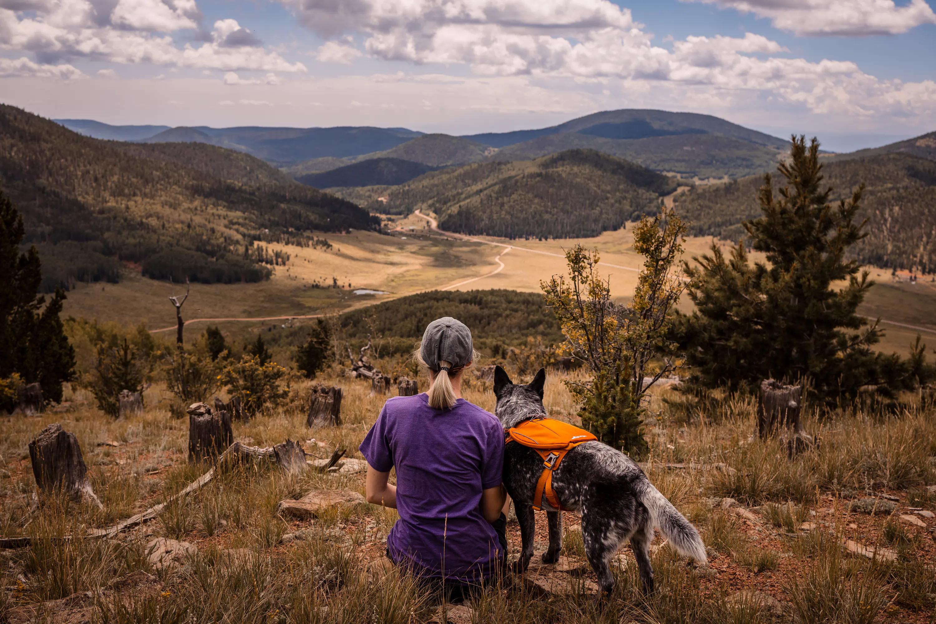 About Us