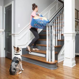 pet proofing barriers