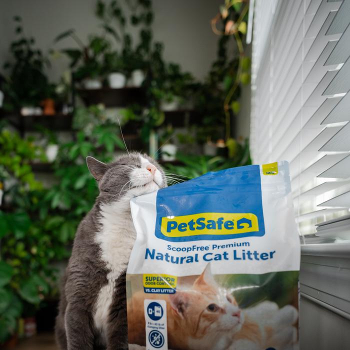 cat and petsafe litter