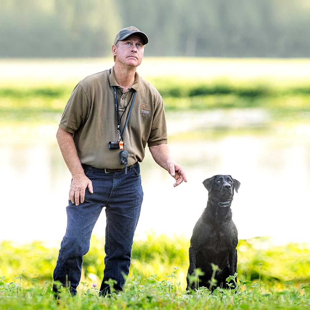 Tom Dokken training black lab