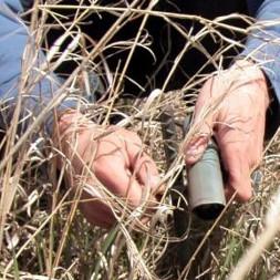 Making a Difference for the Grouse Population in North Dakota