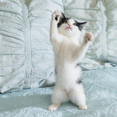 Food Fight! 8 Ways to Prevent Problems at Mealtime