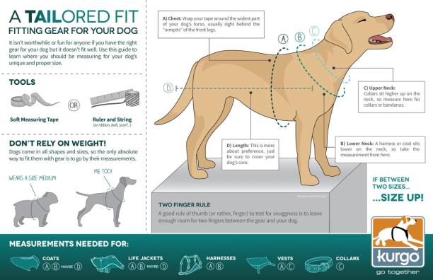 How to Ensure the Perfect Fit For Dog Coats & Harnesses