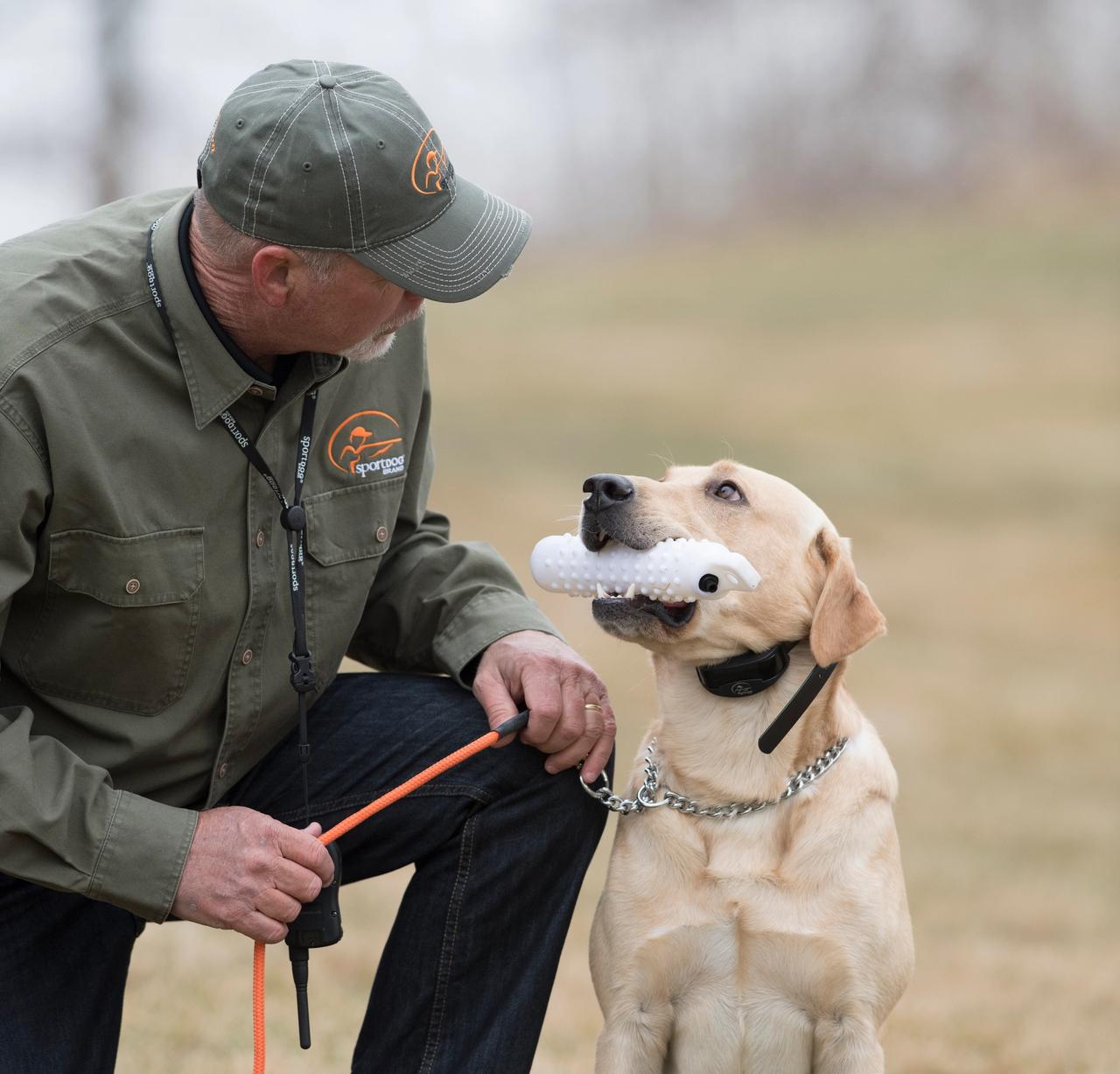 Man kneeling and looking down at yellow lab who is sitting looking up at him