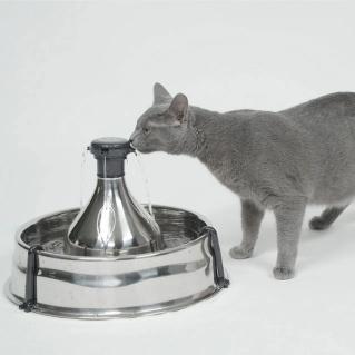 cat drinking from pet fountain