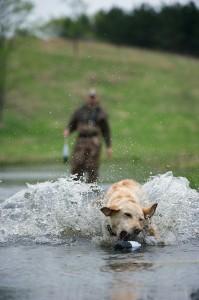 Training Retrieve to Hand