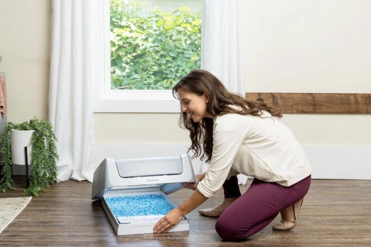 woman and litter tray