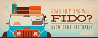Road Tripping with Your Dog Infographic
