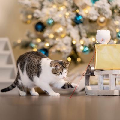 The 9 best cat gifts for your pretty kitty this Christmas