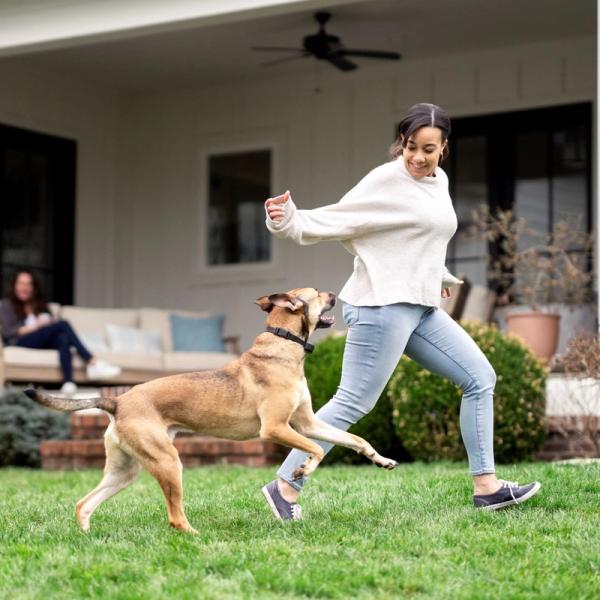 Dog running with woman