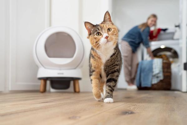 Cat enjoying SmartSpin litter box